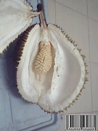  Unik, Ada Durian Dalam Durian